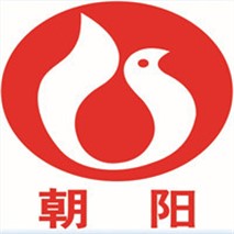 朝陽泵業(yè)QZ軸流、QH混流潛水電泵